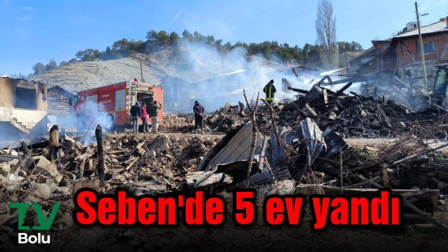 Seben'de 5 ev yandı