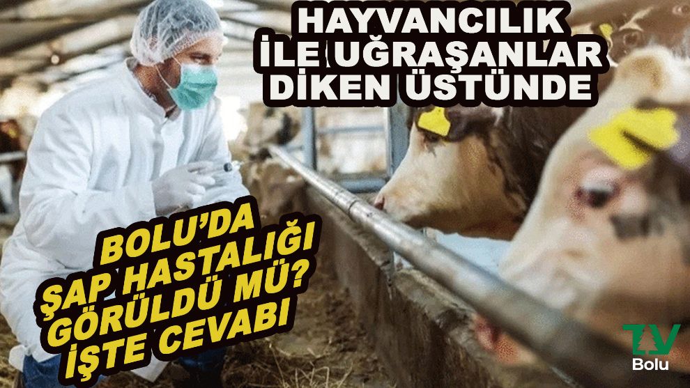 Bolu'da hayvancılık yapanları rahatlatan açıklama