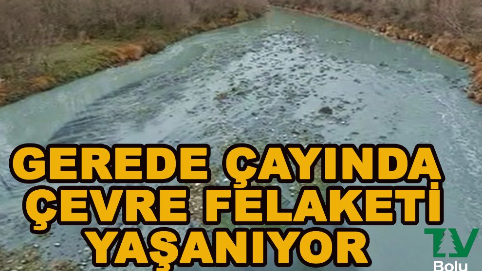 Gerede çayında çevre felaketi yaşanıyor