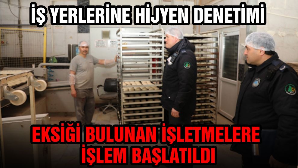 İş yerlerine hijyen denetimi