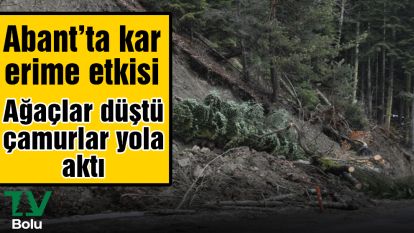 Abant'a kar erime etkisi ağaçlar devrildi çamurlar yola aktı