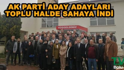 AK Parti aday adayları toplu halde sahaya indi