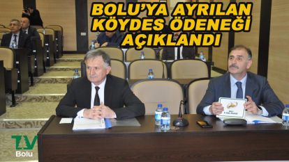 Bolu'ya ayrılan KÖYDES ödeneği açıklandı