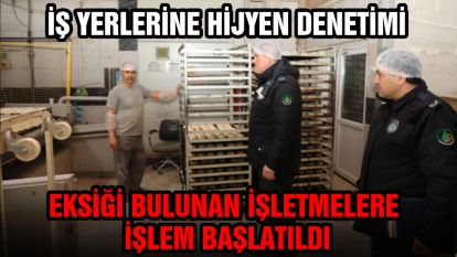 İş yerlerine hijyen denetimi