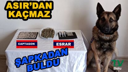 Yolcunun şapkasındaki uyuşturucuyu ‘Asır' buldu