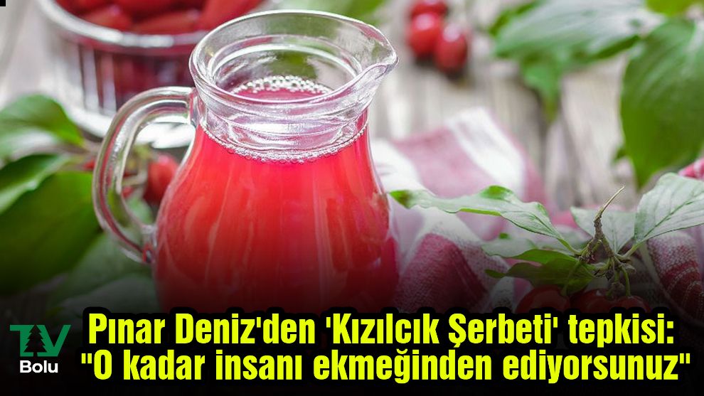 Pınar Deniz'den 'Kızılcık Şerbeti' tepkisi: