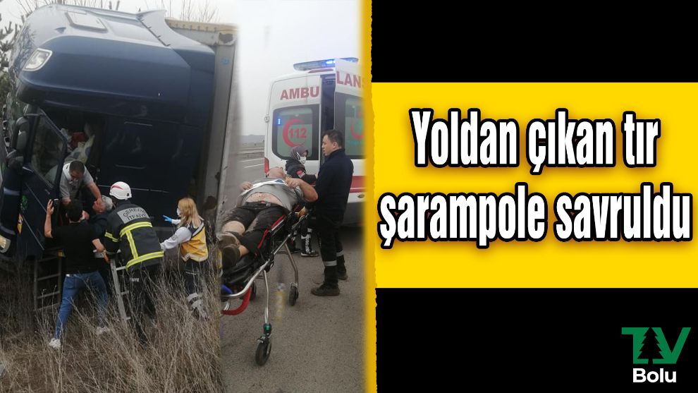 Yoldan çıkan tır şarampole savruldu