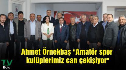 Ahmet Örnekbaş "Amatör spor kulüplerimiz can çekişiyor"
