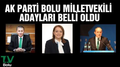 AK Parti Bolu Milletvekili Adayları belli oldu