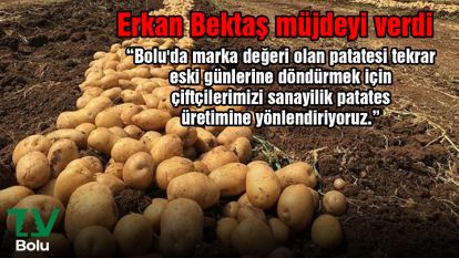 Erkan Bektaş patates üreticilerine müjdeyi verdi