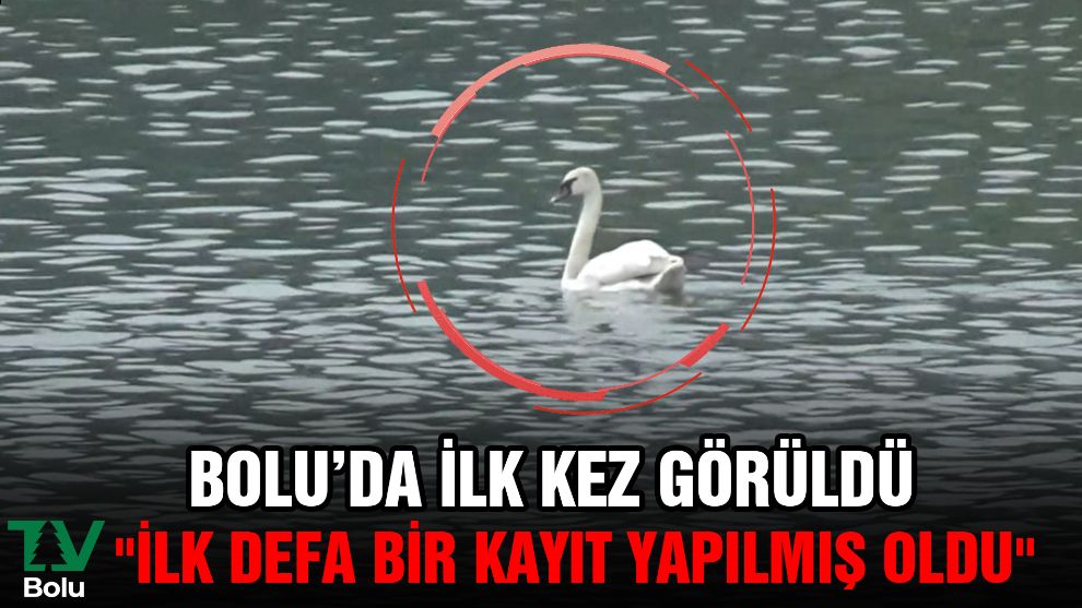 Bolu'da ilk kez görüldü