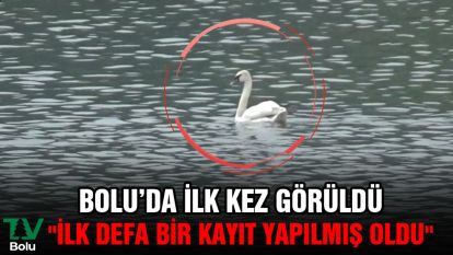 Bolu'da ilk kez görüldü