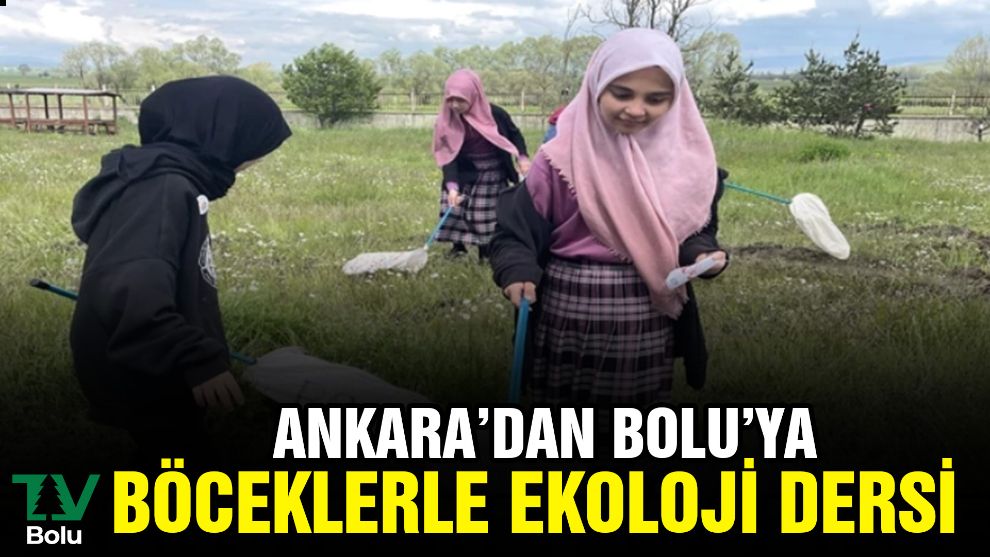 Ankara'da Bolu'ya böceklerle ekoloji dersi