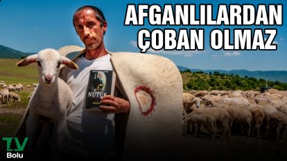 Afganlılardan çoban olmaz
