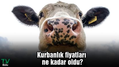 Kurbanlık fiyatları ne kadar oldu?