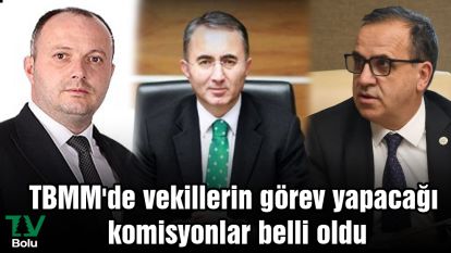 TBMM'de vekillerin görev yapacağı komisyonlar belli oldu