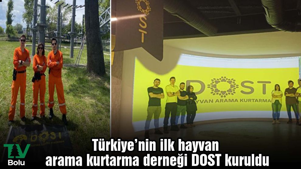 Türkiye'nin ilk hayvan arama kurtarma derneği DOST kuruldu