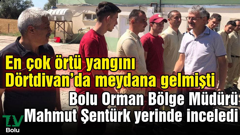 Bolu Orman Bölge Müdürü Mahmut Şentürk yerinde inceledi