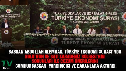 Başkan Alemdar Bolu'nun ve Batı Karadeniz Bölgesi'nin sorunlarını ve çözüm önerilerini aktardı