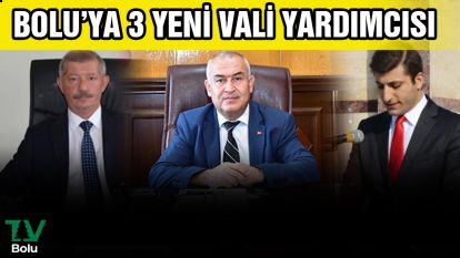 Bolu'ya 3 yeni Vali Yardımcısı
