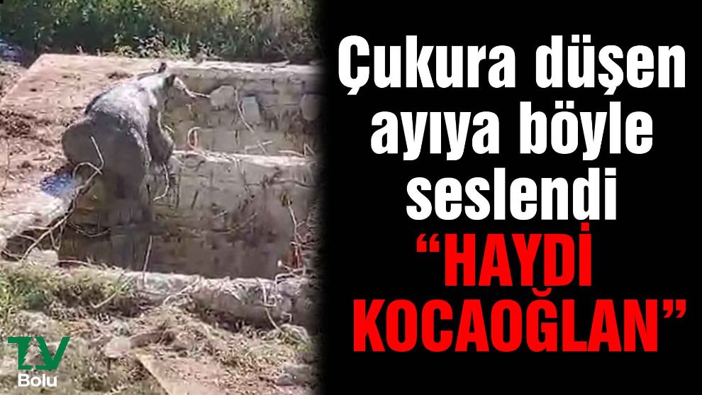 Çukura düşen ayıya böyle seslendi 'Haydi kocaoğlan'