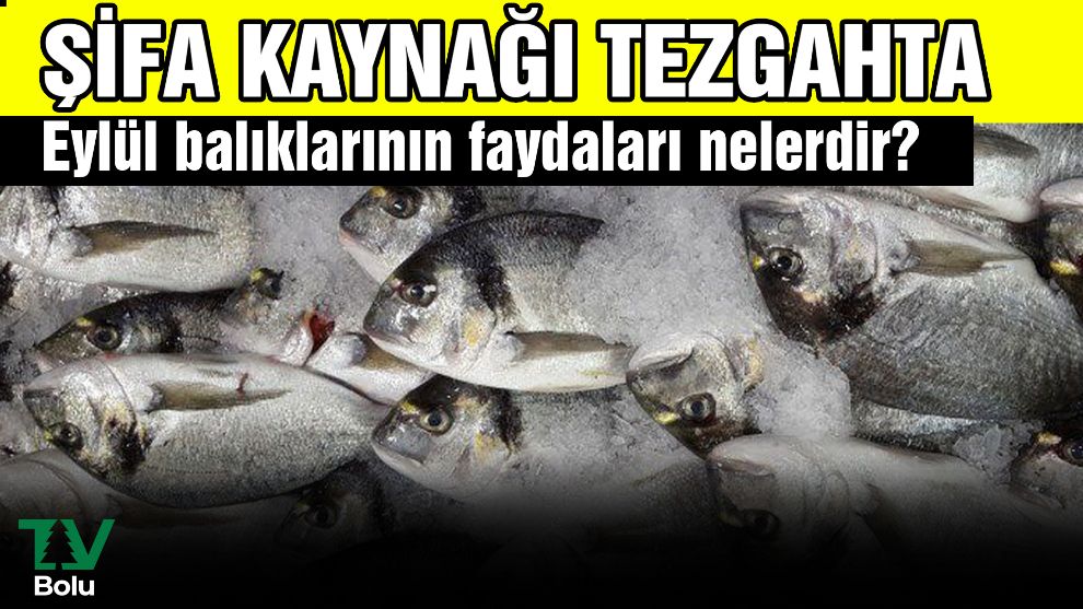 Şifa kaynağı tezgahta