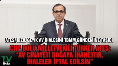 "Av cinayeti doğaya ihanettir ihaleler iptal edilsin"
