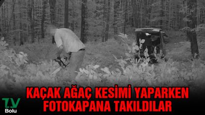 Bu sefer fotokapana onlar takıldı