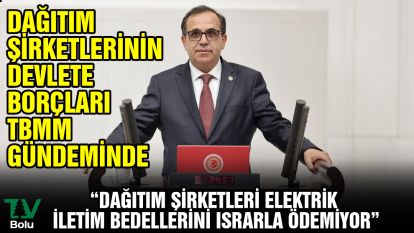 CHP'li Ateş: "Şirketler borçlarını ödemedi, TEİAŞ rekor zarar etti"