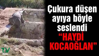 Çukura düşen ayıya böyle seslendi 'Haydi kocaoğlan'