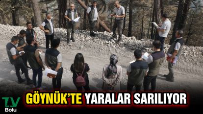 Göynük'te yaralar sarılıyor