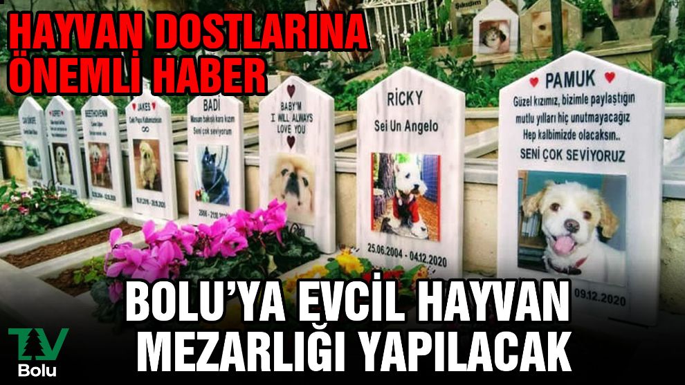 Hayvan dostlarına önemli haber....Evcil hayvan mezarlığı yapılacak