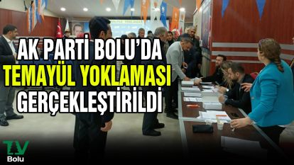 AK PARTİ Bolu'da Temayül Yoklaması Gerçekleştirildi