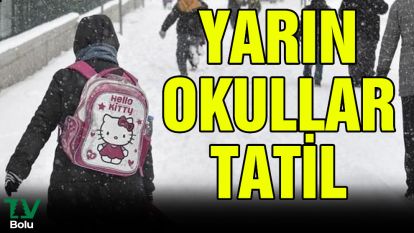 Bolu'da okullara kar tatili