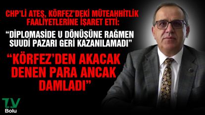 CHP'li Ateş "Diplomaside u dönüşüne rağmen Suudi Pazarı geri kazanılmadı"