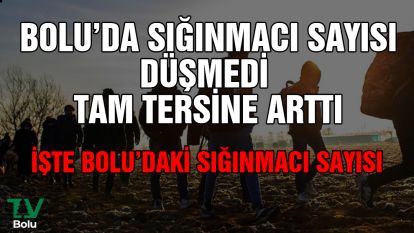 İşte Bolu'daki sığınmacı sayısı...