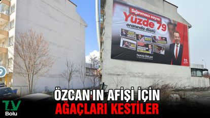Özcan'ın afişi için ağaçları kestiler
