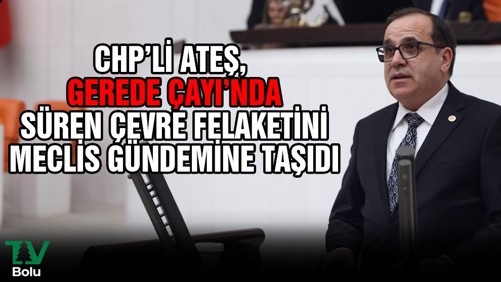 CHP'li Ateş, Gerede Çayı'nda süren çevre felaketini meclis gündemine taşıdı