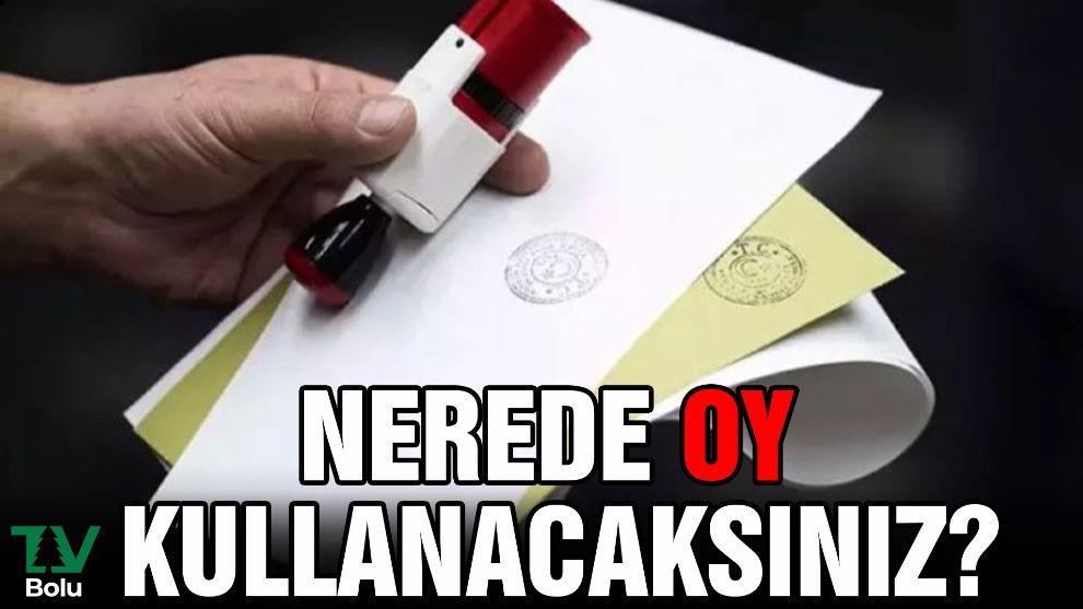 Nerede oy kullanacaksınız?