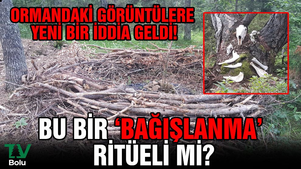 Ormandaki görüntülere yeni bir iddia geldi!...Bu bir 'Bağışlanma' Ritüeli mi?