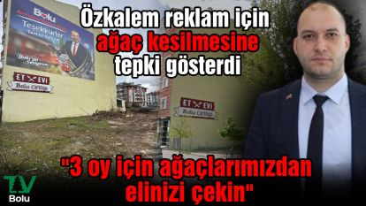 "3 oy için ağaçlarımızdan elinizi çekin"