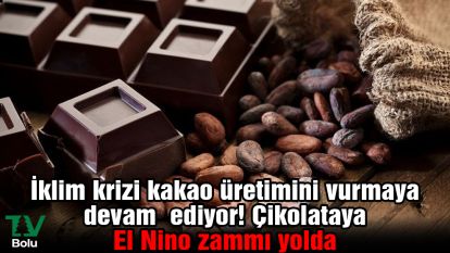 İklim krizi kakao üretimini vurmaya devam ediyor! Çikolataya El Nino zammı yolda