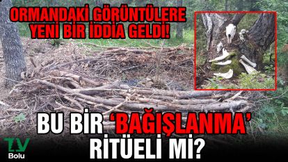 Ormandaki görüntülere yeni bir iddia geldi!...Bu bir 'Bağışlanma' Ritüeli mi?