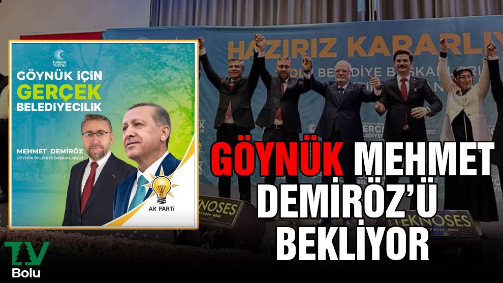 Göynük Mehmet Demiröz'ü bekliyor