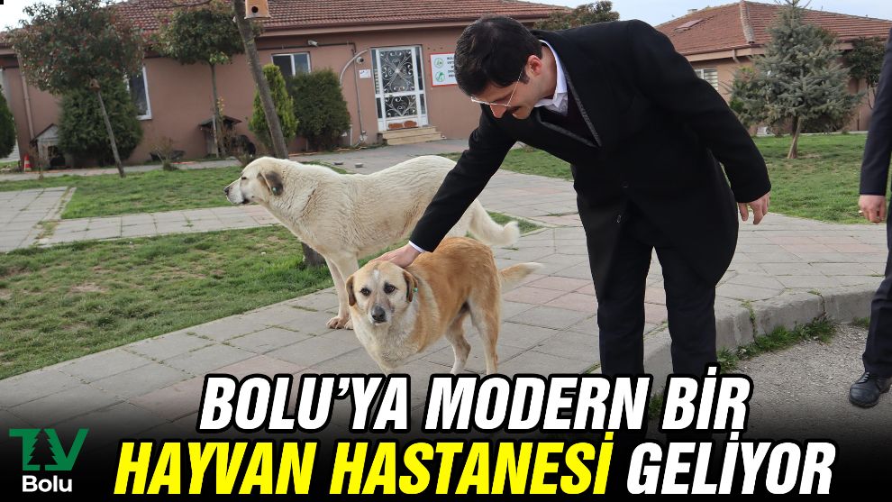 Bolu'ya modern bir hayvan hastanesi geliyor
