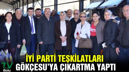 İYİ Parti Teşkilatları Gökçesu'ya çıkartma yaptı