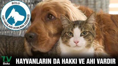 HAYVANLARIN DA HAKKI VE AHI VARDIR. 