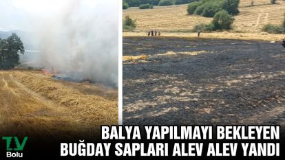 Balya yapılmayı bekleyen buğday sapları alev alev yandı