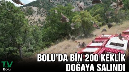 Bolu'da bin 200 keklik doğaya salındı