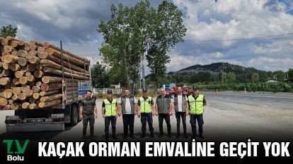 Kaçak orman emvaline geçit yok